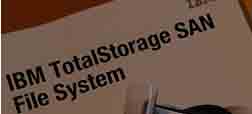 Storage Area Network (SAN)