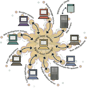 Asset Management